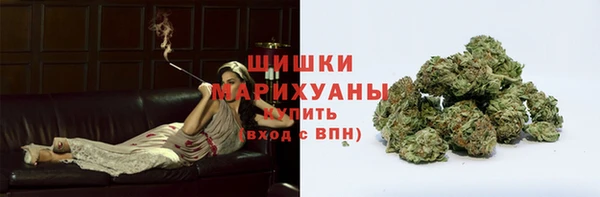 прущие грибы Нея