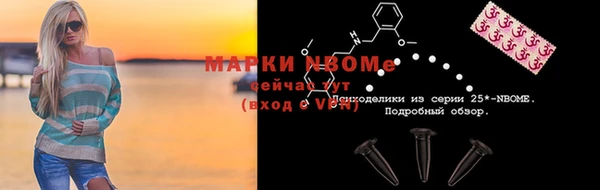молекула духа Арсеньев