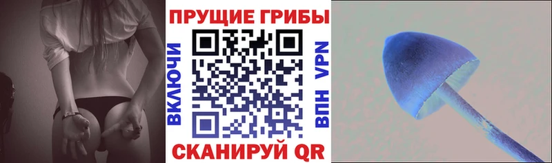 Галлюциногенные грибы мухоморы  купить закладку  Нягань 